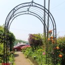 큰손 오리농장 | 시흥오리고기 오이도 큰손오리농장! 오리고기최고~