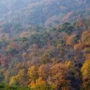 성북동-920 | [서울/성북구] 울긋불긋 눈부시네, 심심유곡의 단풍