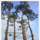 남도소리울림터 이미지