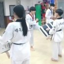 명품 백두 태권도 네이버블로그