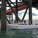 광어생각 이미지