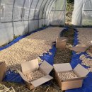 은행정경로당 이미지