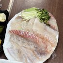 장군횟집 | 남양주 진접 횟집 포장맛집 활어장군 진접점 모둠회 후기