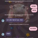 반년동안의 블로그 낉여오거라
