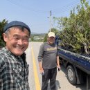 용권농장 이미지