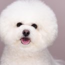 사진관;윤경 이미지