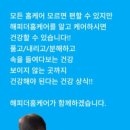 상사서로-7 이미지
