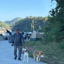 등대민박 | 황덕도 밤샘 갈치낚시 성공기+황덕도교회쪽 등대로민박 후기