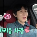 마이온네이처 이미지