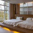 안도스테이 이미지