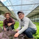 번창농장 이미지