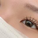 파니브로우