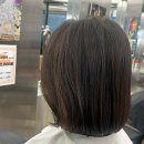 헤어솔루션 이미지