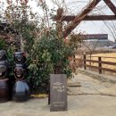 스테이구들 이미지