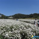 금산인삼랜드(통영) 이미지