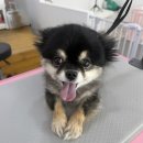 해피멍쓰데이 이미지