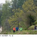 지리산숲길 이미지