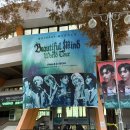 웍투 | [엑디즈] Beautiful mind Finale in Seoul 첫콘 후기 🩵