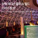 뉴스카이호텔 | 래디슨 블루 호텔 상하이 뉴 월드 (스카이라운지, 스카이 돔 바 후기)
