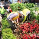 청파동 주민센터 이미지