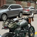 대관령사슴목장 | 2025년 마지막 장거리는 어디로? 동해로!!