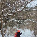 봉제산 오리나무쉼터 | 제주 세미양오름 겨울 설경 후기 눈 많이 온 날, 세미양오름 트레킹