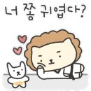 경희대 석사 비룡 태권도 이미지