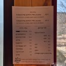 감자네 | [평창 맛집] 감자네 후기 (메뉴판 포함)