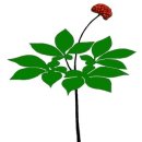 (주)은마 인천지점 이미지