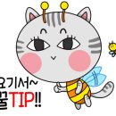 설렘영어 이미지