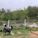 푼타하우스 이미지