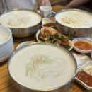 양평칼국수 | 대전 콩국수 맛집 도마동 양평칼국수 내돈내산 솔직 후기