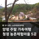 산음휴양림 달빛마을 | 국내가족여행지 농촌마을 5곳 추천 :: 용문산마을, 뚱딴지마을, 산수유꽃마을, 가루매마을, 산음달빛마을