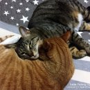 그루밍 타임 이미지