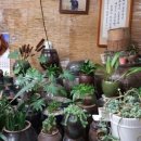 누렁소 농장 이미지