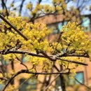 까치공원 이미지