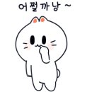 어쩔까낭 이미지