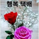 커피한잔의 추억 Daum카페
