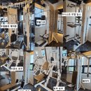 트루피티 이미지