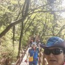 대이작도 번개 (24.4.24) 산행기록 이미지