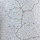하늘 가린 풀숲 유영 – 매월대폭포,복계산,구복령,복주산,하오현 이미지