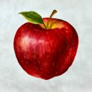 민화와 채색화 | 26-2월의 심연 소식지 ] 한국화.동양화_정규반 전달사항_부천, 시흥, 부평, 마곡 민화 채색화 수묵화