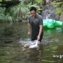 스타패밀리 이미지