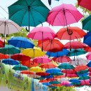 충효농장 이미지