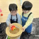도담과일야채
