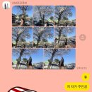 뉴팡드