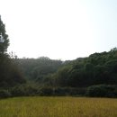 문산읍-8 이미지