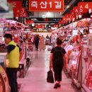 달돼지