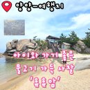 휴휴암 | 강원도 양양 여행지 아이와 가볼 만한 곳 휴휴암 후기 물고기 방생 관람 소요 시간 입장료 주차장...