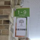 초월고등학교 | 스포츠 선수가 강의하는 스포츠마케터 강의 후기 초월 고등학교